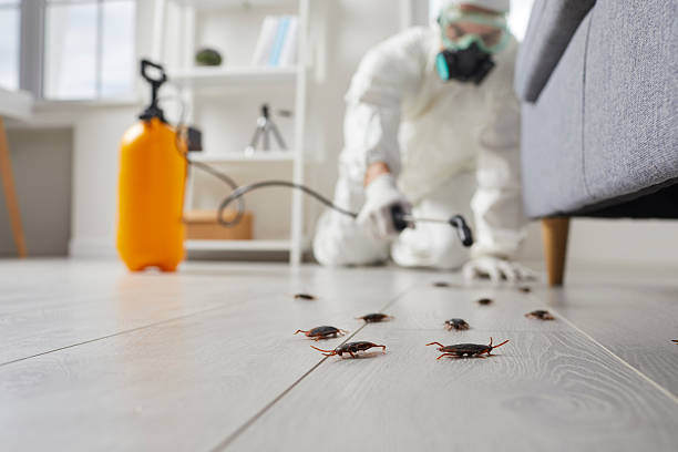 Commercial Kitchen Cockroach Control in Irvington
